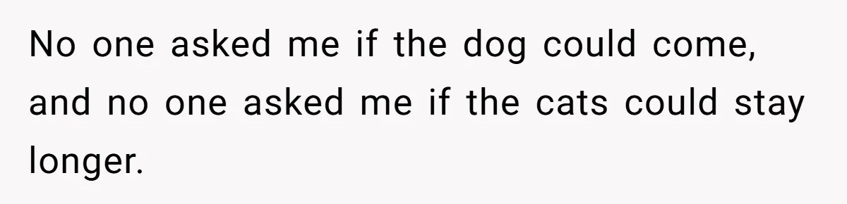 No one asked me if the dog could come, and no one asked me if the cats could stay longer.