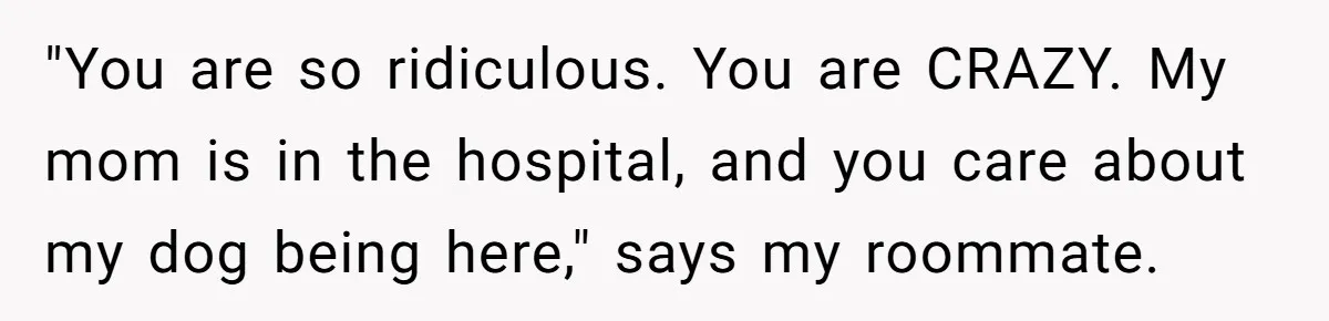 "You are so ridiculous. You are CRAZY. My mom is in the hospital, and you care about my dog being here," says my roommate.
