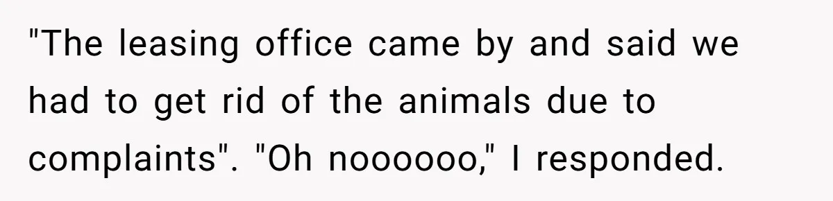 "The leasing office came by and said we had to get rid of the animals due to complaints". "Oh noooooo," I responded.