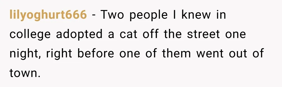 lilyoghurt666 − Two people I knew in college adopted a cat off the street one night, right before one of them went out of town.