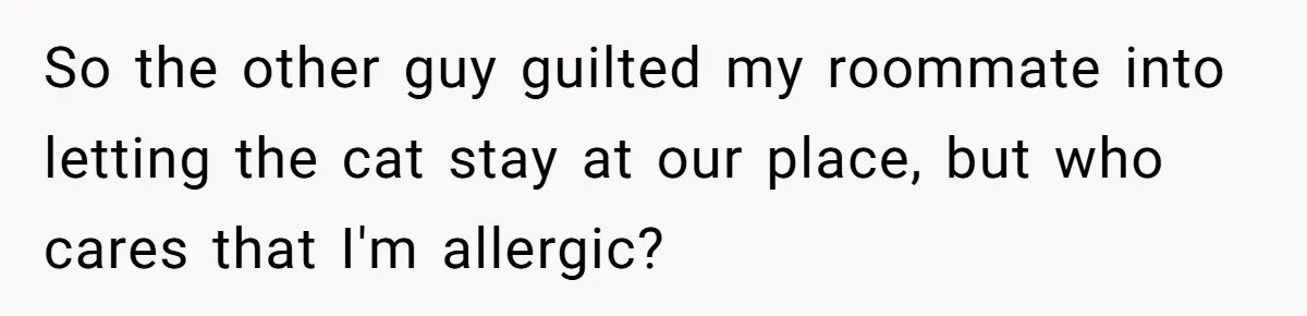 So the other guy guilted my roommate into letting the cat stay at our place, but who cares that I'm allergic?