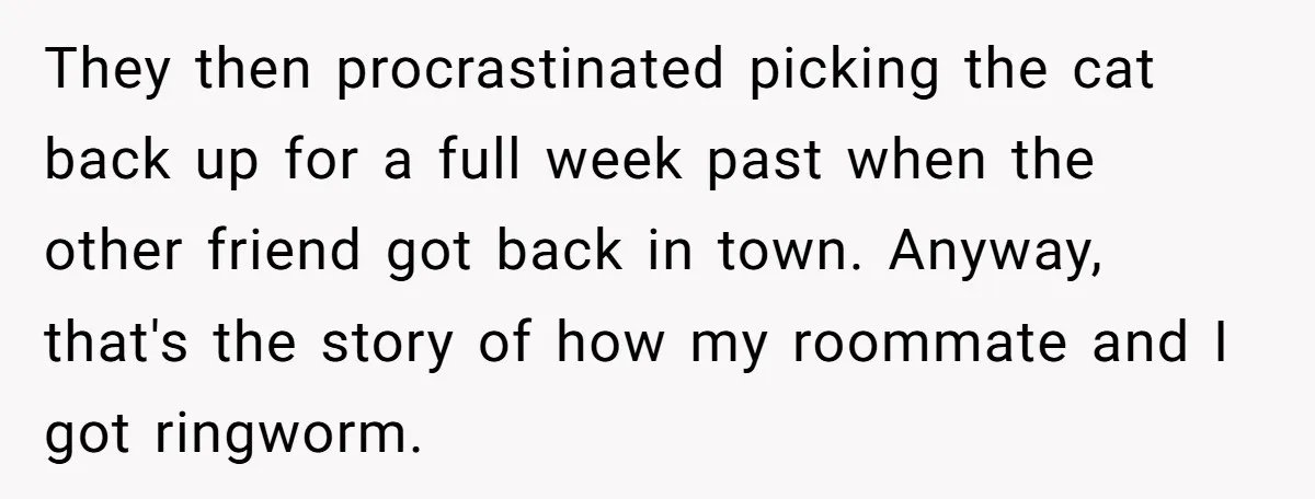 They then procrastinated picking the cat back up for a full week past when the other friend got back in town. Anyway, that's the story of how my roommate and...