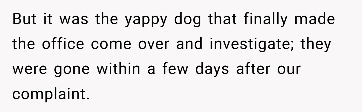 But it was the yappy dog that finally made the office come over and investigate; they were gone within a few days after our complaint.