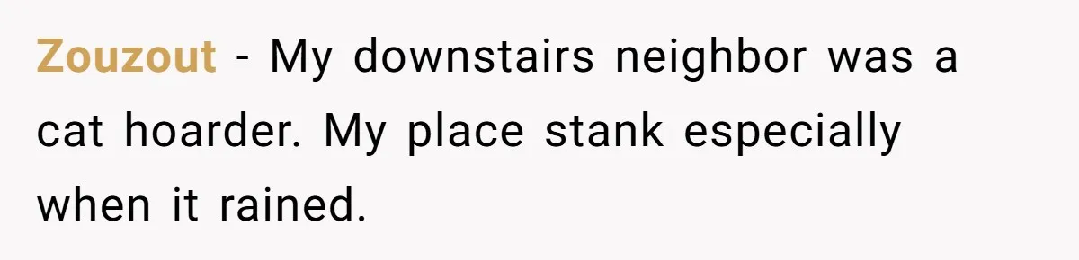 Zouzout − My downstairs neighbor was a cat hoarder. My place stank especially when it rained.