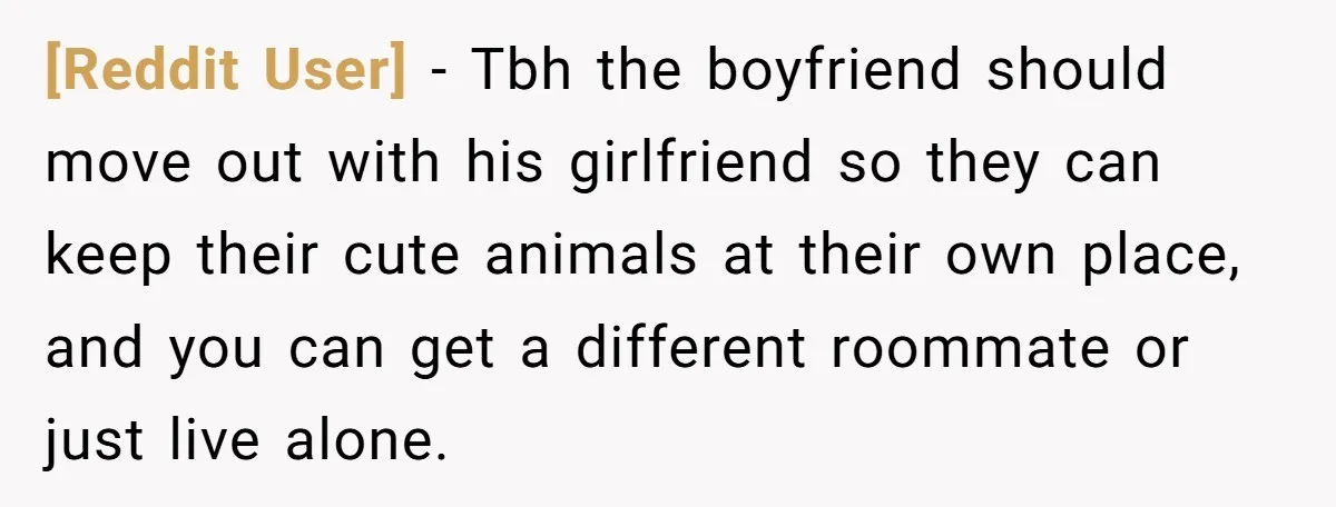 [Reddit User] − Tbh the boyfriend should move out with his girlfriend so they can keep their cute animals at their own place, and you can get a different roommate...