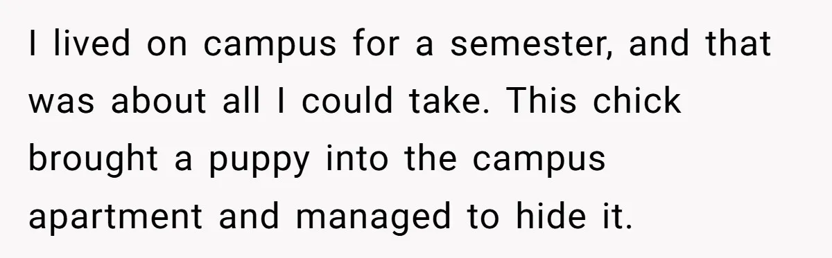 I lived on campus for a semester, and that was about all I could take. This chick brought a puppy into the campus apartment and managed to hide it.
