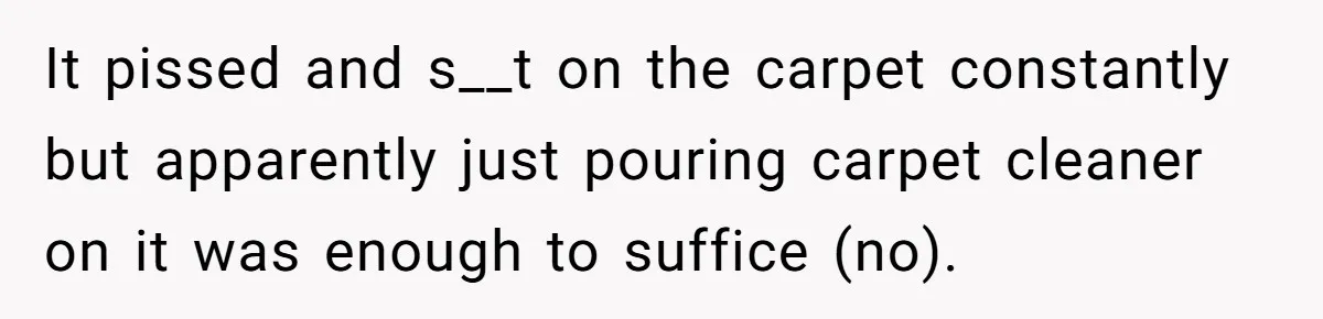 It pissed and s__t on the carpet constantly but apparently just pouring carpet cleaner on it was enough to suffice (no).