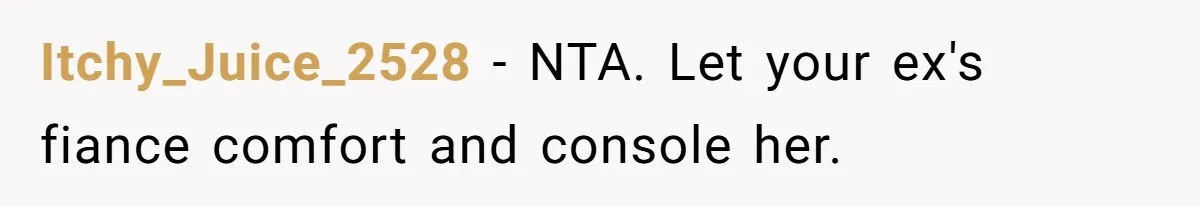 Itchy_Juice_2528 − NTA. Let your ex's fiance comfort and console her.