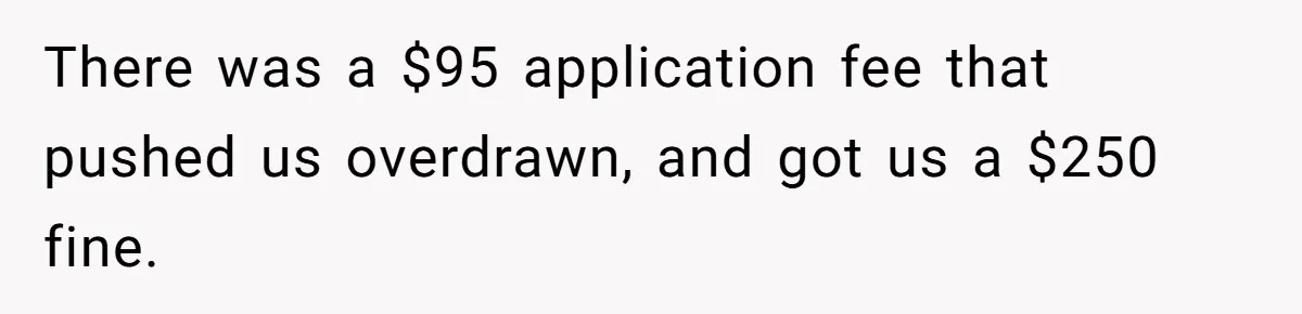 There was a $95 application fee that pushed us overdrawn, and got us a $250 fine.