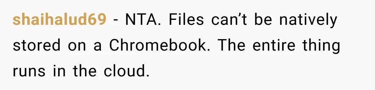 shaihalud69 − NTA. Files can’t be natively stored on a Chromebook. The entire thing runs in the cloud.