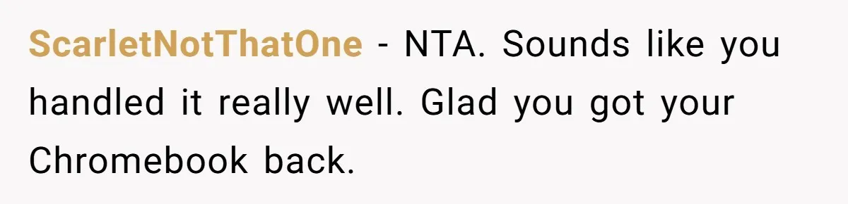 ScarletNotThatOne − NTA. Sounds like you handled it really well. Glad you got your Chromebook back.