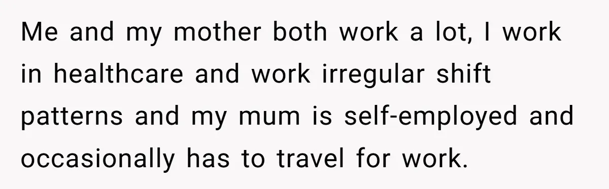 Me and my mother both work a lot, I work in healthcare and work irregular shift patterns and my mum is self-employed and occasionally has to travel for work.