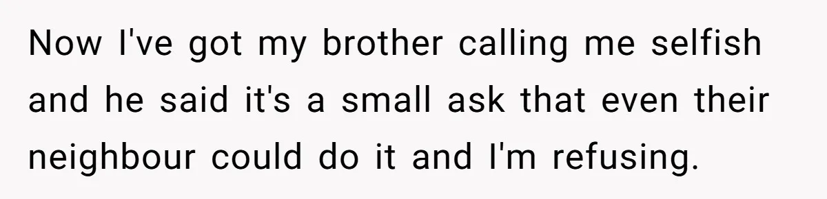 Now I've got my brother calling me selfish and he said it's a small ask that even their neighbour could do it and I'm refusing.