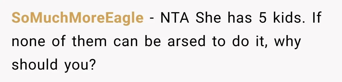 SoMuchMoreEagle − NTA She has 5 kids. If none of them can be arsed to do it, why should you?