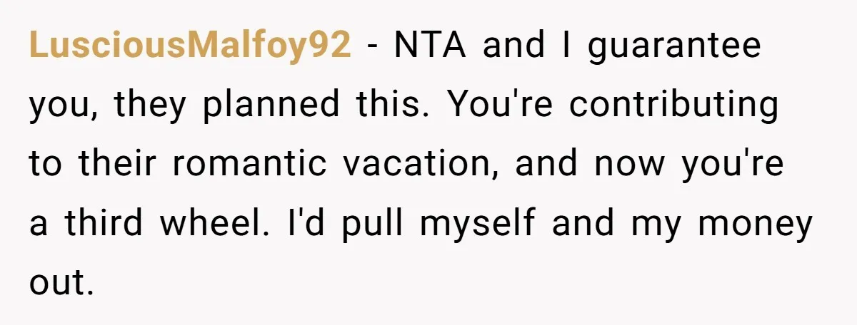 LusciousMalfoy92 − NTA and I guarantee you, they planned this. You're contributing to their romantic vacation, and now you're a third wheel. I'd pull myself and my money out.