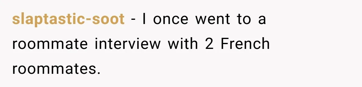 American Tourist Overhears German Couple Mocking His Stuffed Toy And Replies Fluently In Their Language slaptastic-soot − I once went to a roommate interview with 2 French roommates.