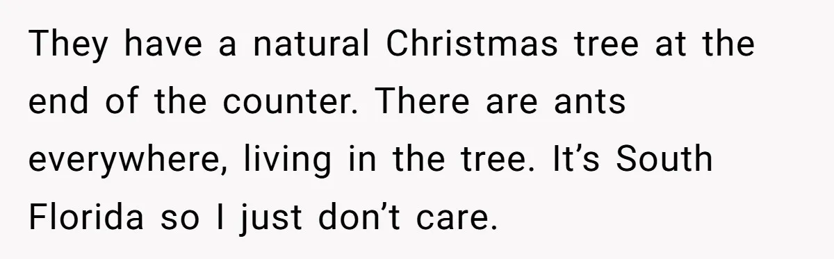 American Tourist Overhears German Couple Mocking His Stuffed Toy And Replies Fluently In Their Language They have a natural Christmas tree at the end of the counter. There are ants everywhere, living in the tree. It’s South Florida so I just don’t care.