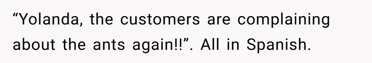 American Tourist Overhears German Couple Mocking His Stuffed Toy And Replies Fluently In Their Language “Yolanda, the customers are complaining about the ants again!!”. All in Spanish.