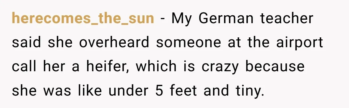 American Tourist Overhears German Couple Mocking His Stuffed Toy And Replies Fluently In Their Language herecomes_the_sun − My German teacher said she overheard someone at the airport call her a heifer, which is crazy because she was like under 5 feet and tiny.