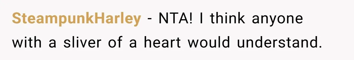 SteampunkHarley − NTA! I think anyone with a sliver of a heart would understand.