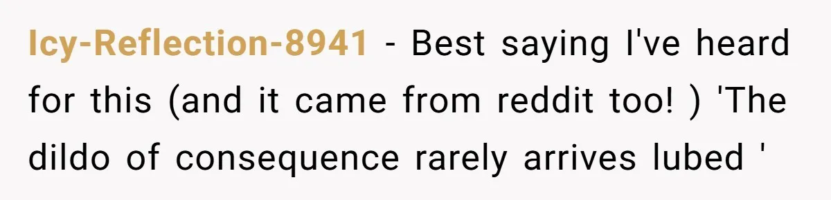 Icy-Reflection-8941 − Best saying I've heard for this (and it came from reddit too! ) 'The dildo of consequence rarely arrives lubed '
