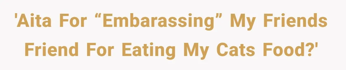 'AITA for “embarassing” my friends friend for eating my cats food?'