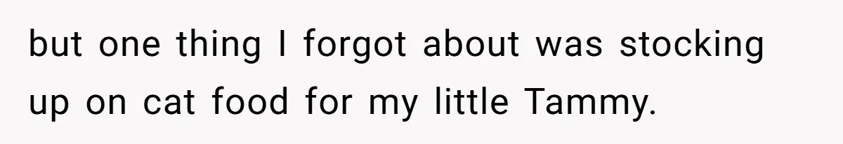 but one thing I forgot about was stocking up on cat food for my little Tammy.