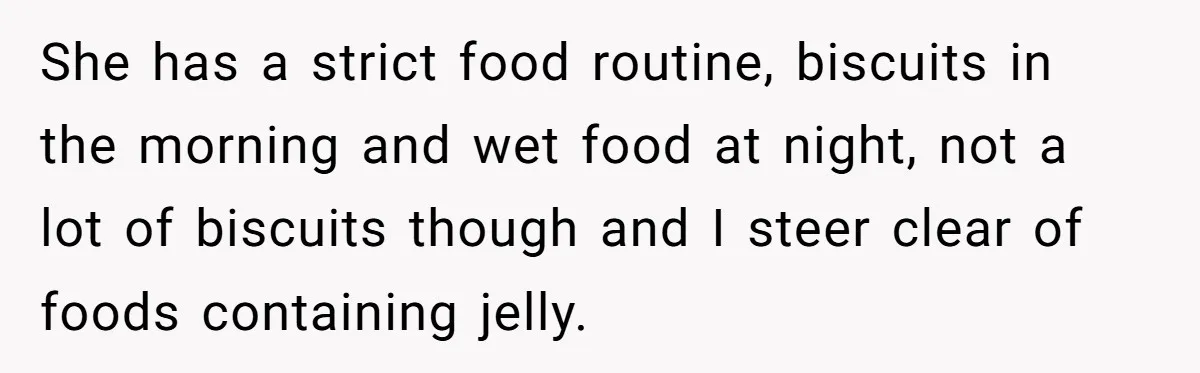 She has a strict food routine, biscuits in the morning and wet food at night, not a lot of biscuits though and I steer clear of foods containing jelly.