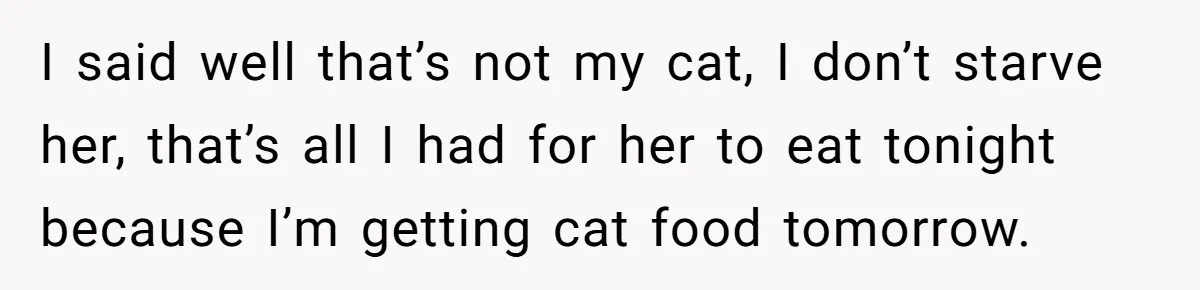 I said well that’s not my cat, I don’t starve her, that’s all I had for her to eat tonight because I’m getting cat food tomorrow.