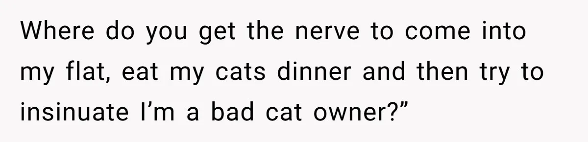 Where do you get the nerve to come into my flat, eat my cats dinner and then try to insinuate I’m a bad cat owner?”