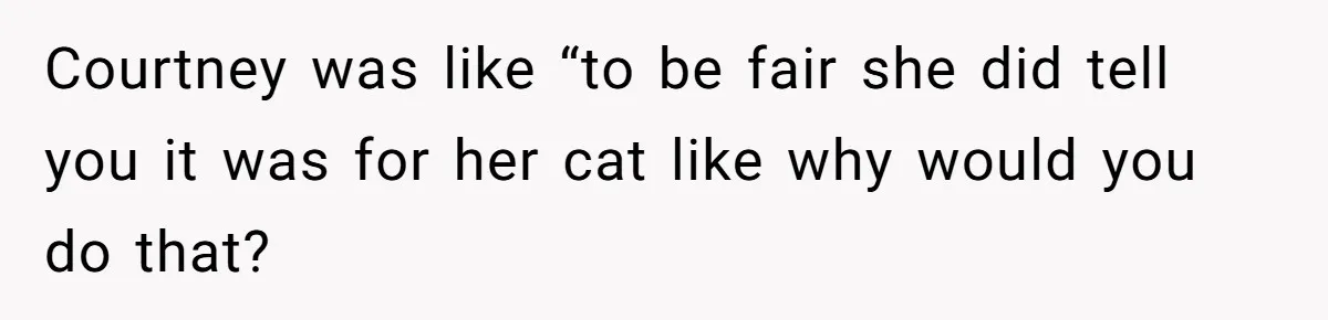 Courtney was like “to be fair she did tell you it was for her cat like why would you do that?