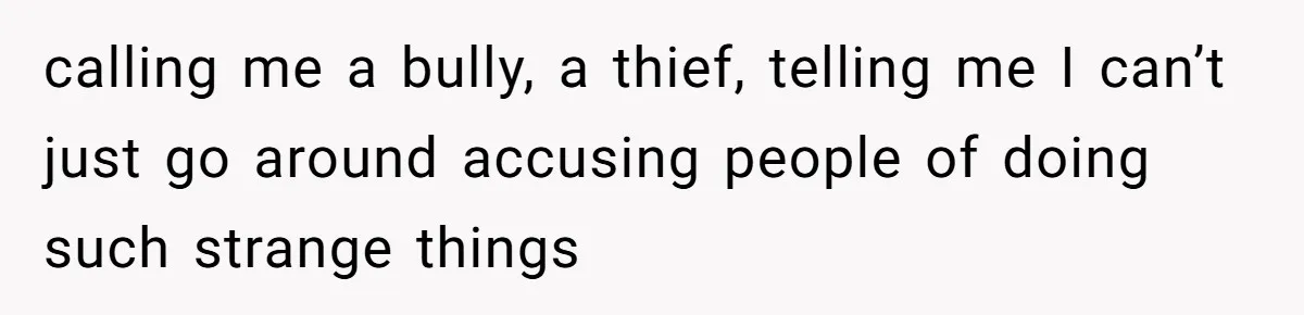 calling me a bully, a thief, telling me I can’t just go around accusing people of doing such strange things