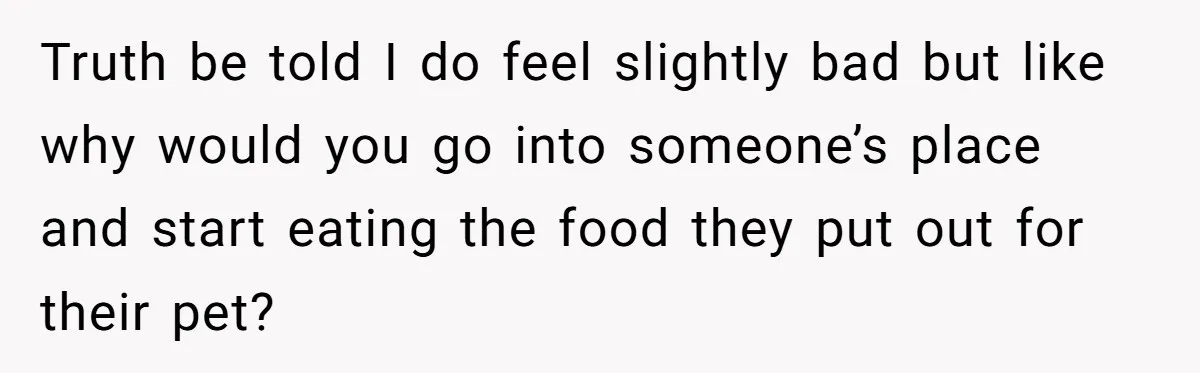 Truth be told I do feel slightly bad but like why would you go into someone’s place and start eating the food they put out for their pet?