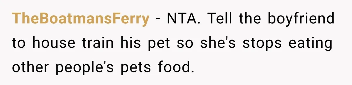 TheBoatmansFerry − NTA. Tell the boyfriend to house train his pet so she's stops eating other people's pets food.