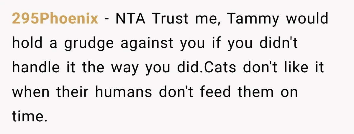 295Phoenix − NTA Trust me, Tammy would hold a grudge against you if you didn't handle it the way you did.Cats don't like it when their humans don't feed them...