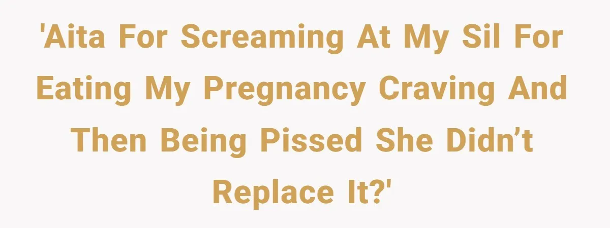 'AITA for screaming at my sil for eating my pregnancy craving and then being pissed she didn’t replace it?'