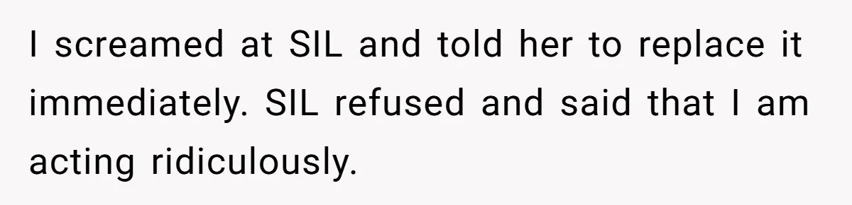 I screamed at SIL and told her to replace it immediately. SIL refused and said that I am acting ridiculously.