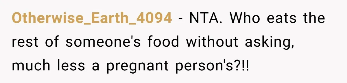 Otherwise_Earth_4094 − NTA. Who eats the rest of someone's food without asking, much less a pregnant person's?!!