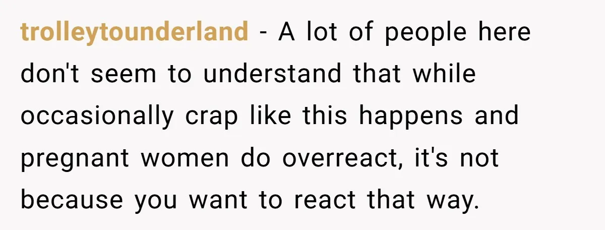trolleytounderland − A lot of people here don't seem to understand that while occasionally crap like this happens and pregnant women do overreact, it's not because you want to react...