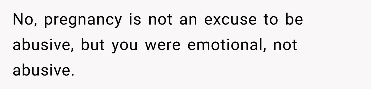 No, pregnancy is not an excuse to be abusive, but you were emotional, not abusive.