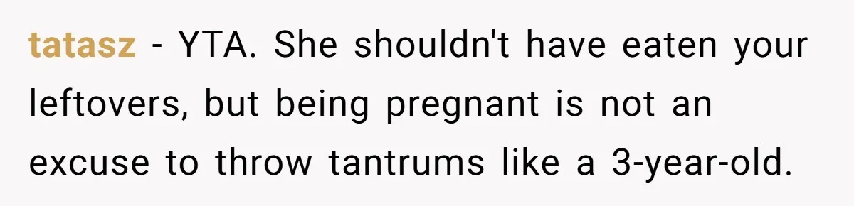 tatasz − YTA. She shouldn't have eaten your leftovers, but being pregnant is not an excuse to throw tantrums like a 3-year-old.