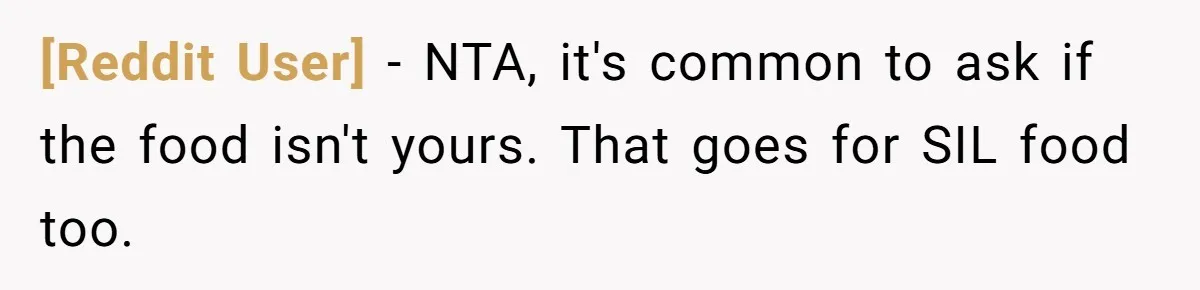 [Reddit User] − NTA, it's common to ask if the food isn't yours. That goes for SIL food too.