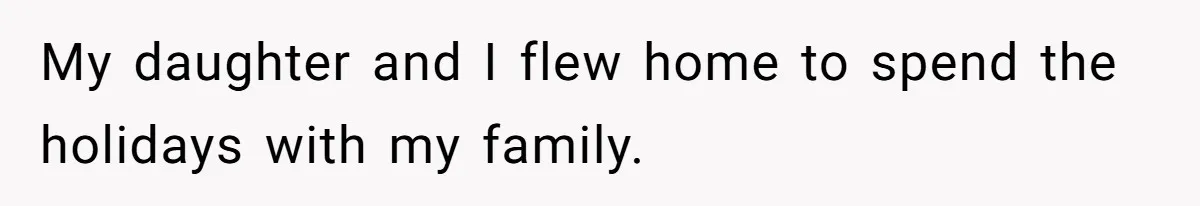 My daughter and I flew home to spend the holidays with my family.