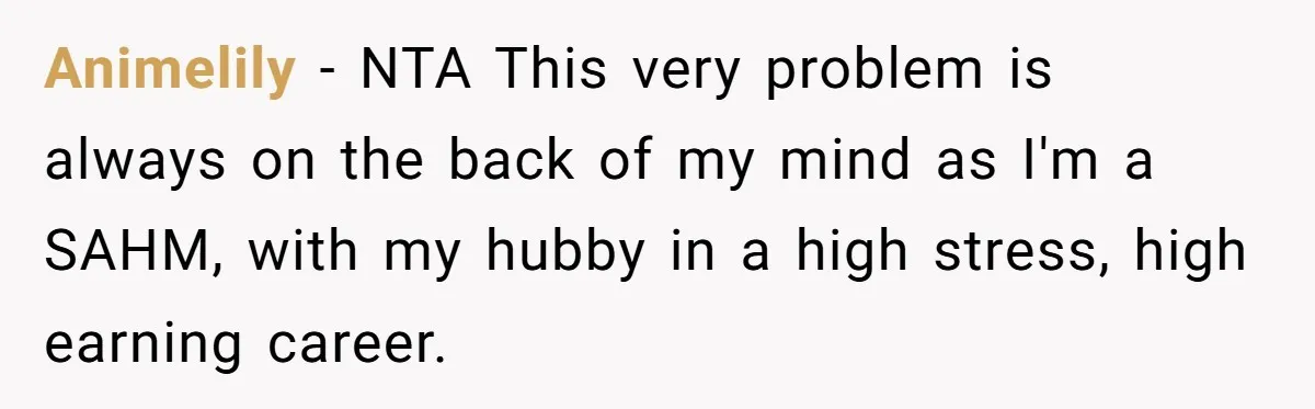 Animelily − NTA This very problem is always on the back of my mind as I'm a SAHM, with my hubby in a high stress, high earning career.