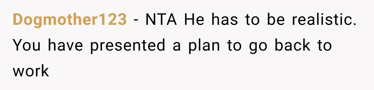 Dogmother123 − NTA He has to be realistic. You have presented a plan to go back to work