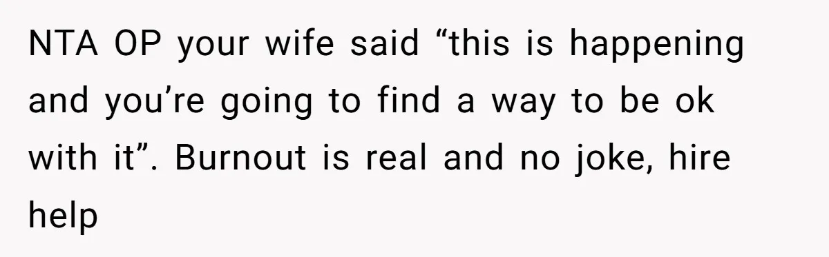 NTA OP your wife said “this is happening and you’re going to find a way to be ok with it”. Burnout is real and no joke, hire help