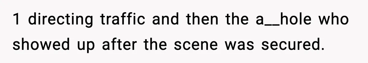 1 directing traffic and then the a__hole who showed up after the scene was secured.