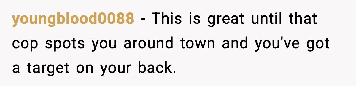 youngblood0088 − This is great until that cop spots you around town and you've got a target on your back.