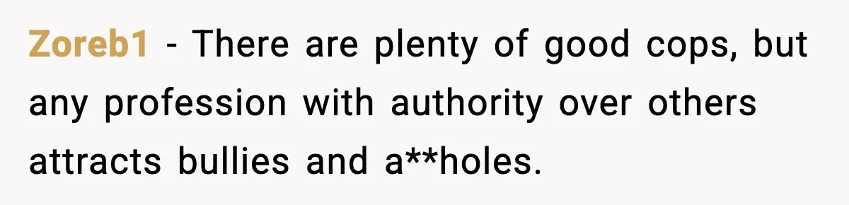 Zoreb1 − There are plenty of good cops, but any profession with authority over others attracts bullies and a**holes.