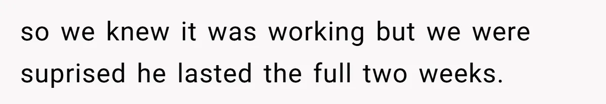 so we knew it was working but we were suprised he lasted the full two weeks.